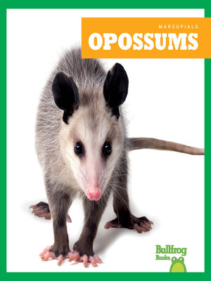 cover image of Opossums
